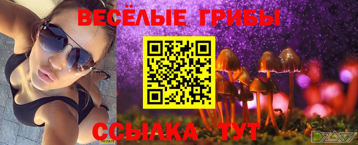 Псилоцибиновые грибы MAGIC MUSHROOMS Рубцовск