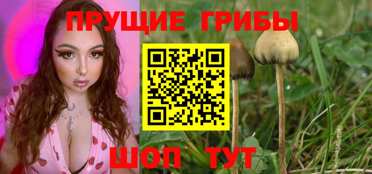 Галлюциногенные грибы ЛСД  Вход с VPN  Псилоцибиновые грибы Cubensis  Рубцовск 